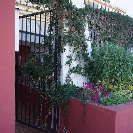 Cute And Relaxing En Albayzin Granada