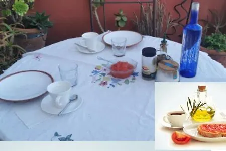 Cute And Relaxing En Albayzin